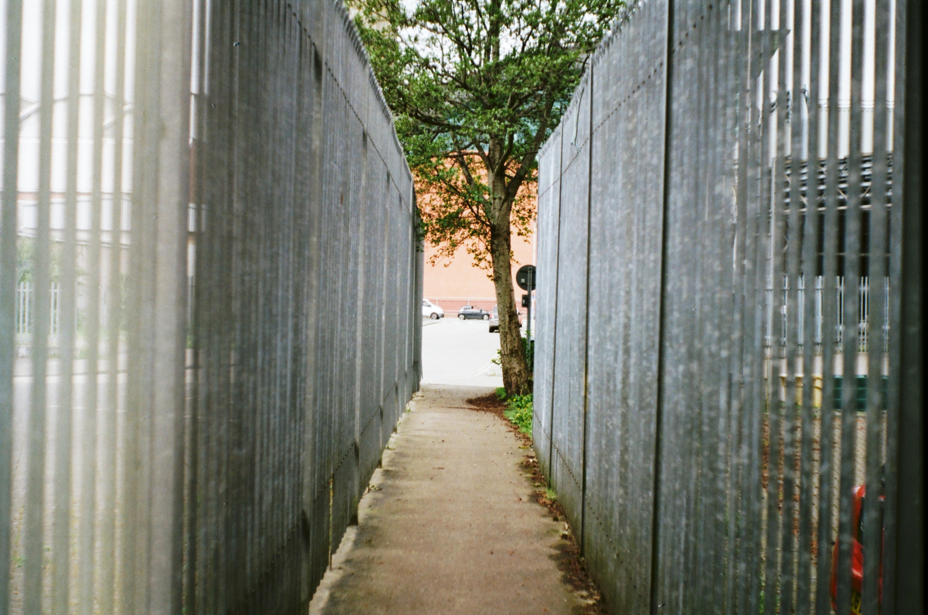 Fujifilm 200 | Praktika MTL3